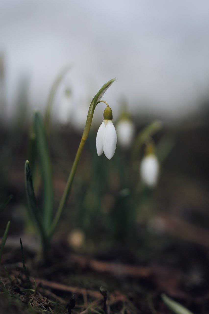 Доброе утро!. Коротко о погоде: неделя будет холодной и дождливой, возможен даже снег Доброе утро!. Коротко о погоде: неделя будет холодной и дождливой, возможен даже снег