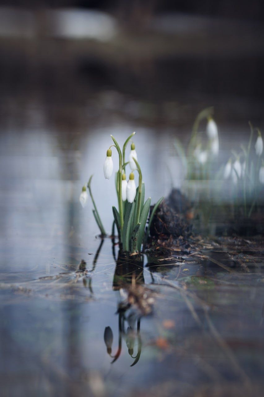 Доброе утро!. Коротко о погоде: неделя будет холодной и дождливой, возможен даже снег Доброе утро!. Коротко о погоде: неделя будет холодной и дождливой, возможен даже снег