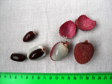 ���� ��������: ��� ��������� ���� � �������� ��������