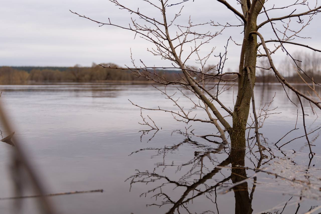 На этой предпасхальной апрельской неделе синоптики обещают нам дожди со снегом и похолодание На этой предпасхальной апрельской неделе синоптики обещают нам дожди со снегом и похолодание