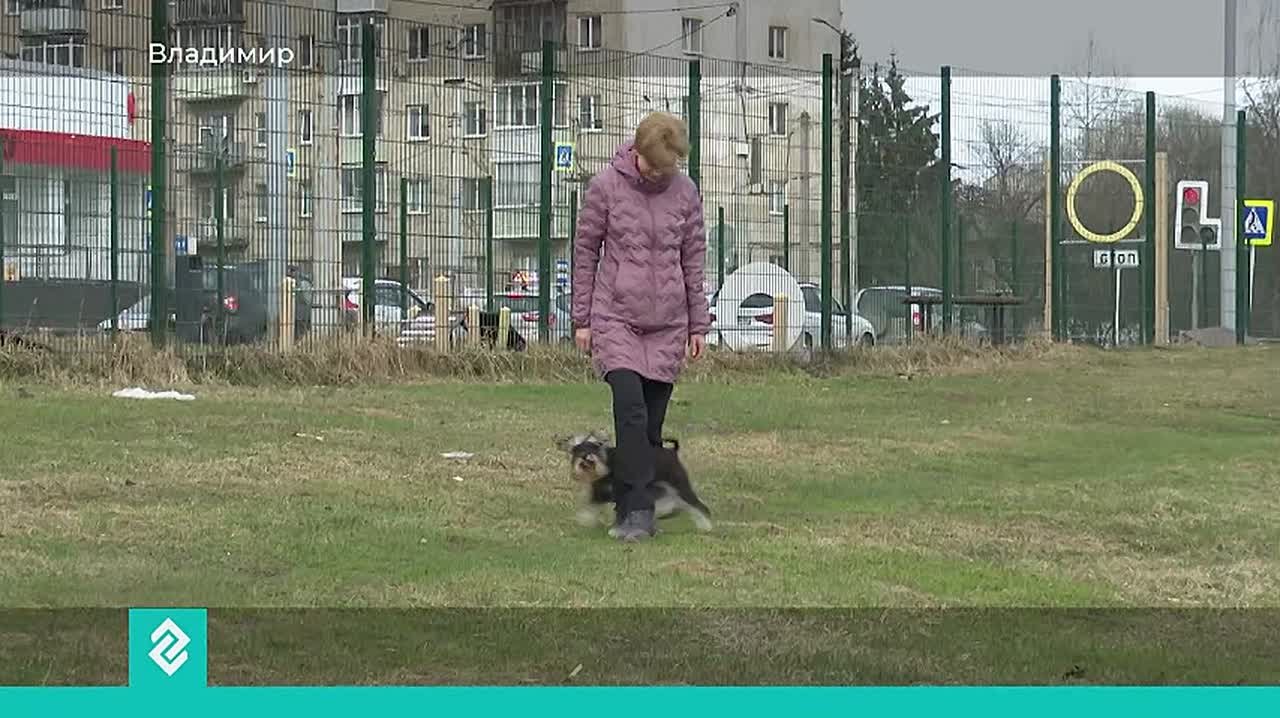 С 1 апреля вступил в силу первый ГОСТ на площадки для выгула собак