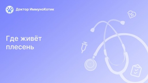 Неожиданные укрытия плесени