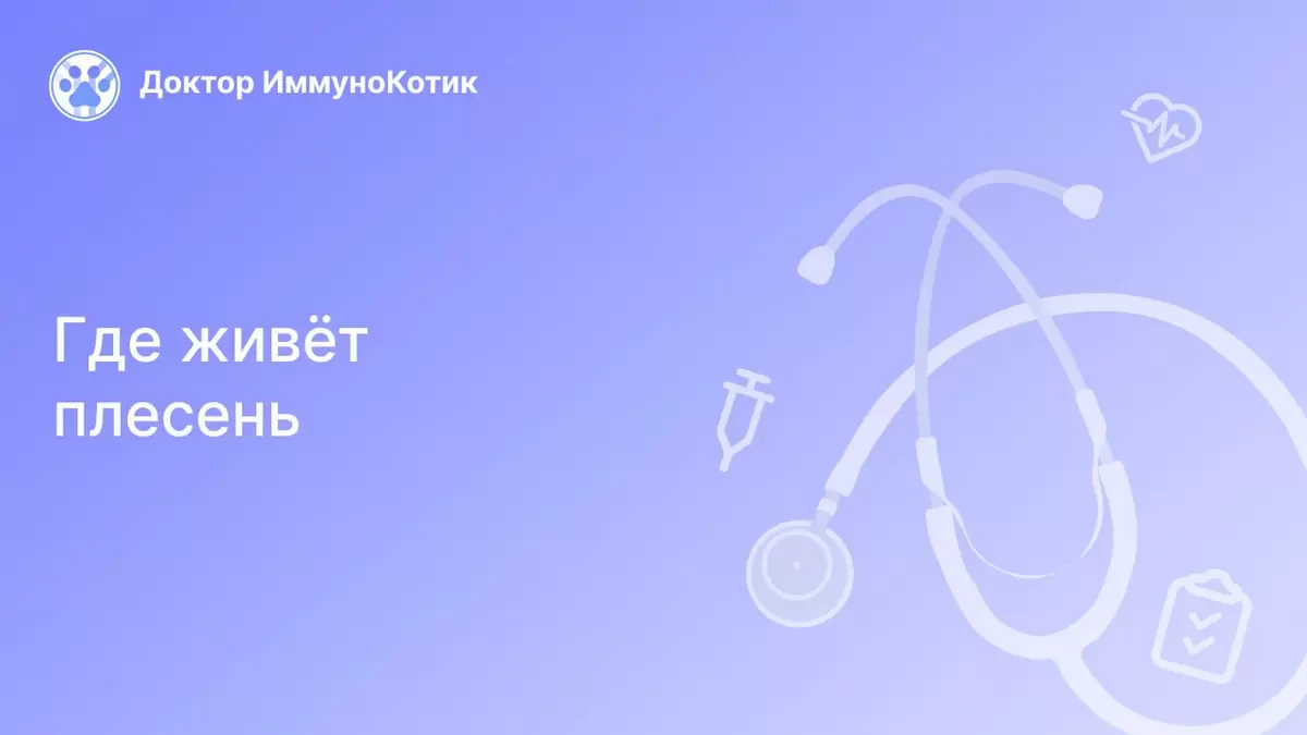 Неожиданные укрытия плесени