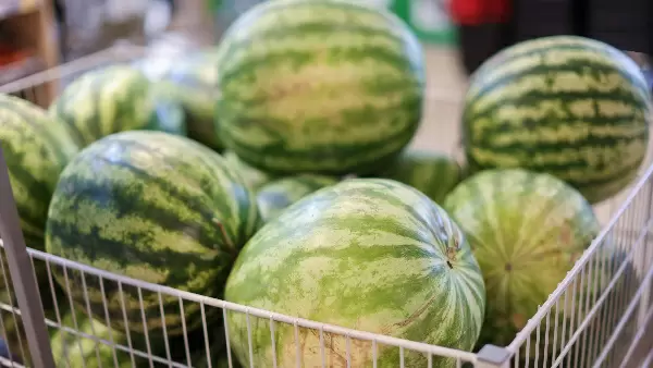 Как выбрать идеальный арбуз: секреты хвостика и пуговки