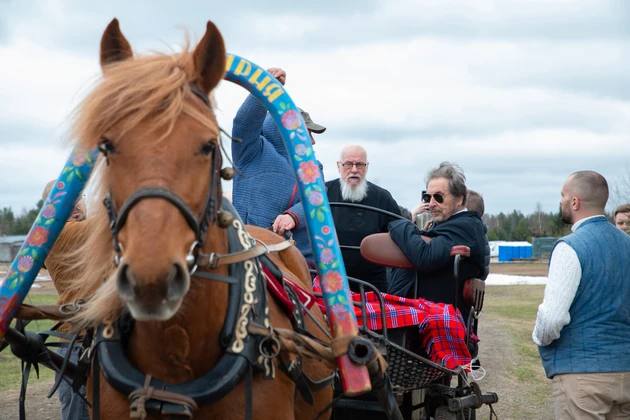 50 семей из ЮАР могут переехать во Владимирскую область
