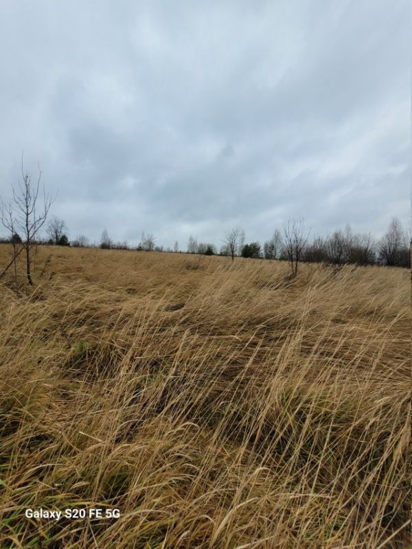 ��������. ��� ���������� �������� ����������� ������� ���������� ��������� ���� � ������� ��������� �������, ���������� �� ������ � ���������� ����������� ������������ ������������ ������� ��������� �������������� ��������...