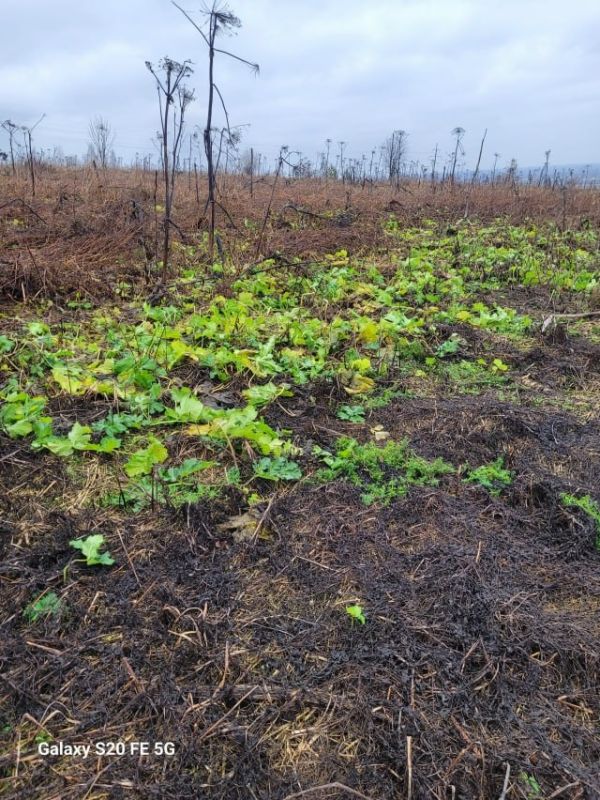 ��������. ��� ���������� �������� ����������� ������� ���������� ��������� ���� � ������� ��������� �������, ���������� �� ������ � ���������� ����������� ������������ ������������ ������� ��������� �������������� ��������...