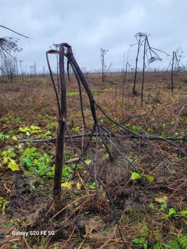 ��������. ��� ���������� �������� ����������� ������� ���������� ��������� ���� � ������� ��������� �������, ���������� �� ������ � ���������� ����������� ������������ ������������ ������� ��������� �������������� ��������...