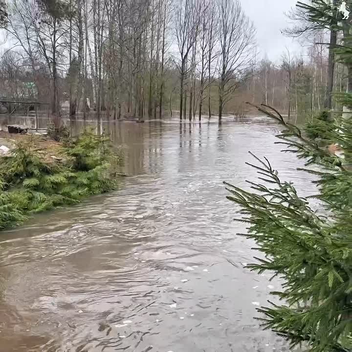 Контроль паводковой ситуации в городе