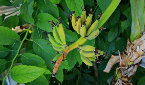 ��� ������� � ������ ����� �������� ���� ����������