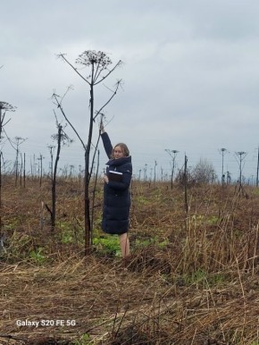 ��������. ��� ���������� �������� ����������� ������� ���������� ��������� ���� � ������� ��������� �������, ���������� �� ������ � ���������� ����������� ������������ ������������ ������� ��������� �������������� ��������...