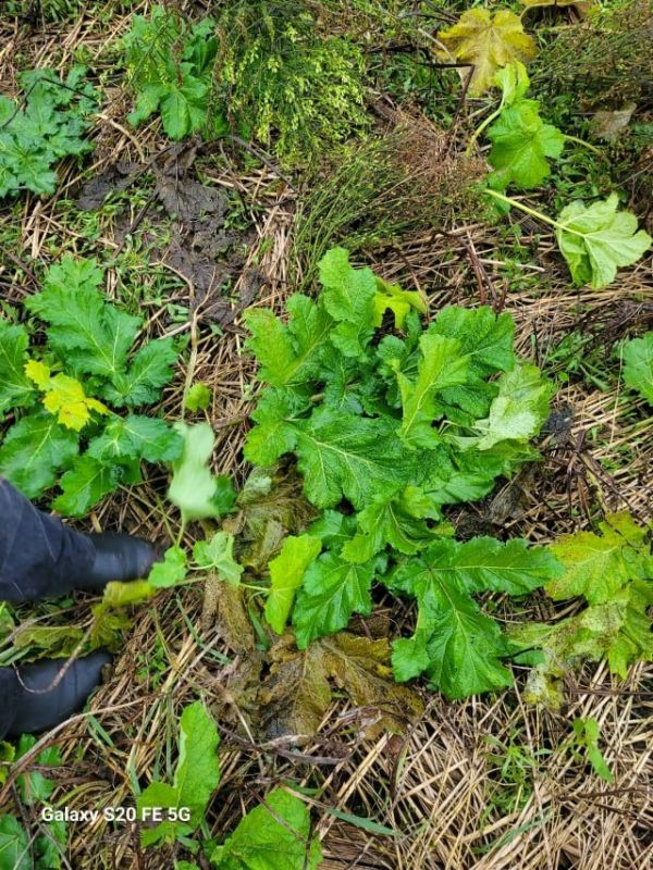 ��������. ��� ���������� �������� ����������� ������� ���������� ��������� ���� � ������� ��������� �������, ���������� �� ������ � ���������� ����������� ������������ ������������ ������� ��������� �������������� ��������...