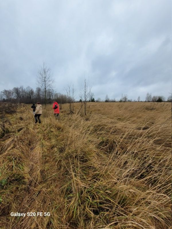 ��������. ��� ���������� �������� ����������� ������� ���������� ��������� ���� � ������� ��������� �������, ���������� �� ������ � ���������� ����������� ������������ ������������ ������� ��������� �������������� ��������...