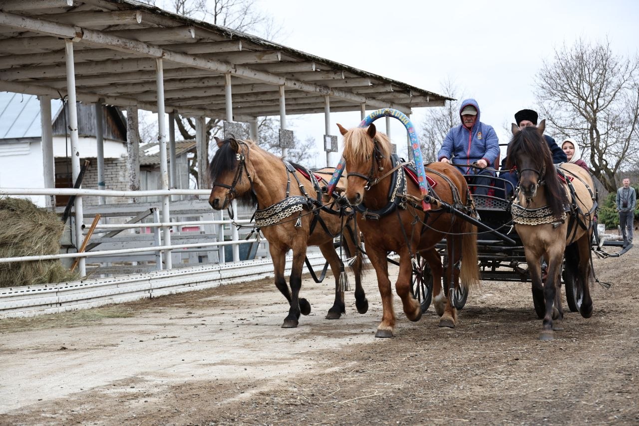 Александр Авдеев: В АТК «Богдарня» встретился с делегацией предпринимателей из ЮАР во главе с Эрролом Маском Александр Авдеев: В АТК «Богдарня» встретился с делегацией предпринимателей из ЮАР во главе с Эрролом Маском