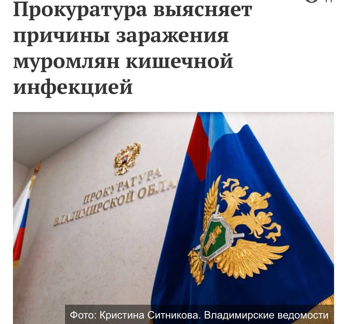 На контроле прокуратуры Владимирской области находится ситуация, связанная с многочисленными обращениями жителей Мурома в медицинские учреждения с симптомами острой кишечной инфекции