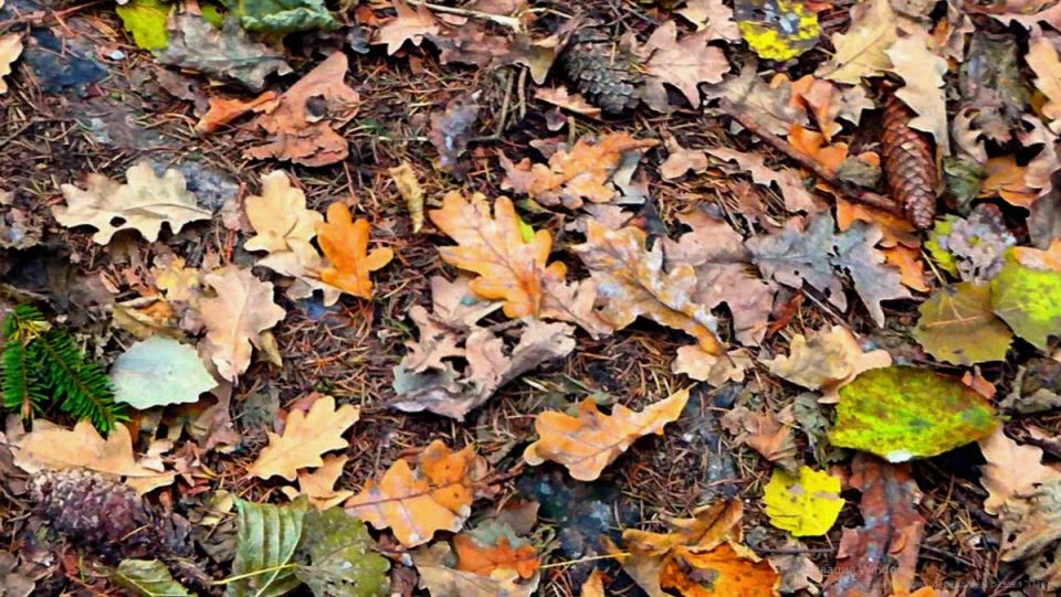 �������� �����: ������� �������� ���� ��� ������ ������