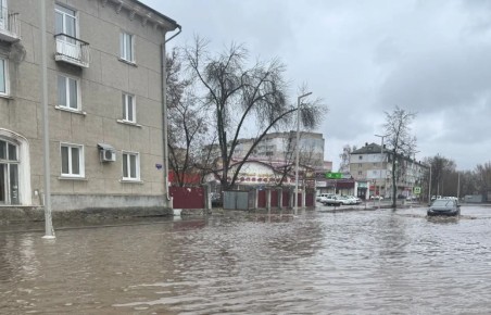 ��������������� ����� ����������������� �� ����� ��������� �� ����������� ������� � ���������� ������ �������� �������� � ������ �����