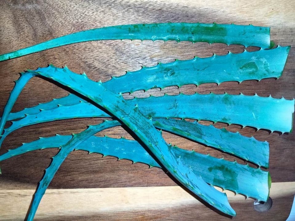 ��� ��������� ������� ��� �� ����: ������� ������� �������