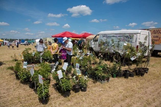 � ������� ������������ � ������ ���������� ��� ����-2026