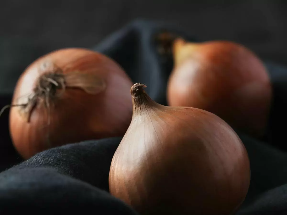 Осенняя посадка лука: секрет раннего урожая в вашем саду