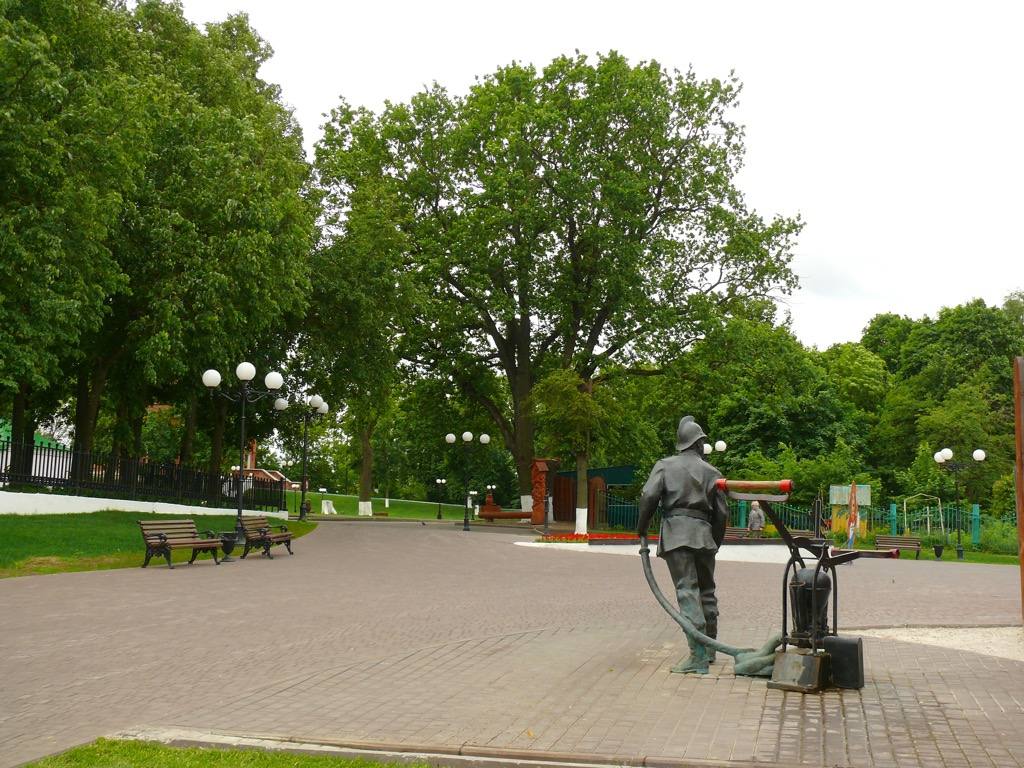 Столетнее дерево, украшающее центр Владимира, может рухнуть Столетнее дерево, украшающее центр Владимира, может рухнуть