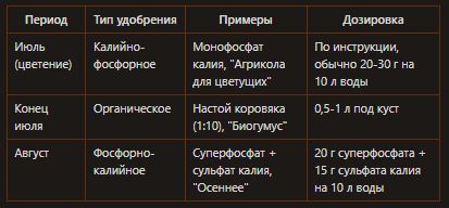 ������ ���� �� �����������: ������� ������� �������� �� ������� �����