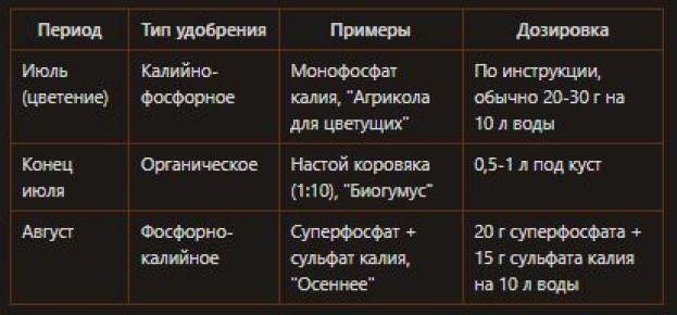 ������ ���� �� �����������: ������� ������� �������� �� ������� �����