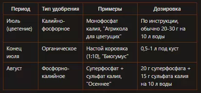 Летний уход за гортензиями: секреты пышного цветения на будущий сезон