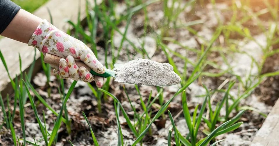 ��� ��������� ������������� ������ ��� ���������� ������