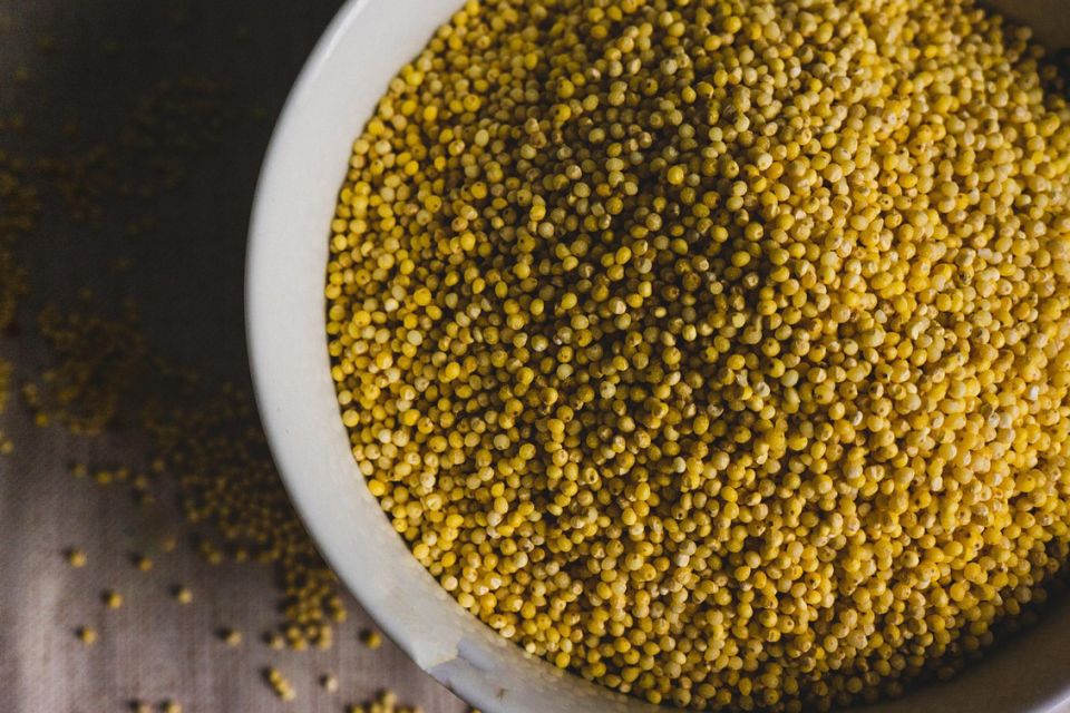 �����: ��������� � �������� ������������ ��������� ������