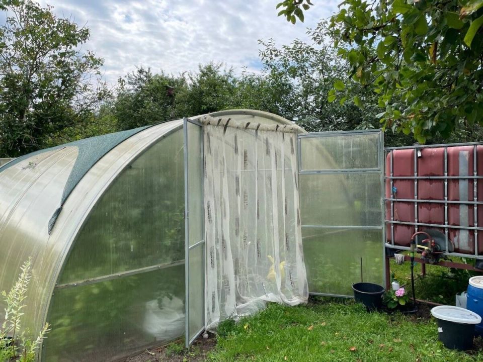 ��� �������� ��������� � �������: ������ �� �������� ��������