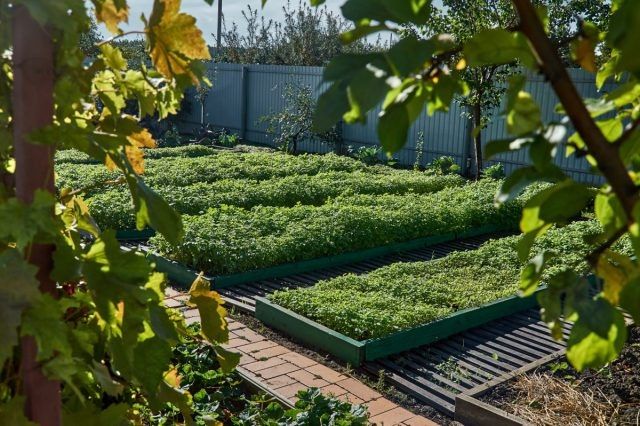 �������������� ���������� �����: ������ ��� ��� ����������?