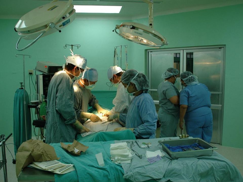 ��������� �������������������: ������ ����� �������� ������� ������� ����������