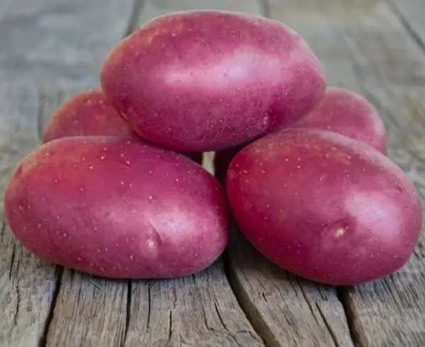 Секреты картофельной кухни Южной Америки