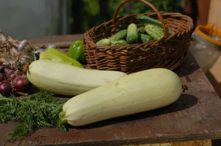 ���-10 ����������� ��������, ������� �� ����� ������ �� ����� �������