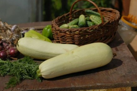 ���-10 ����������� ��������, ������� �� ����� ������ �� ����� �������