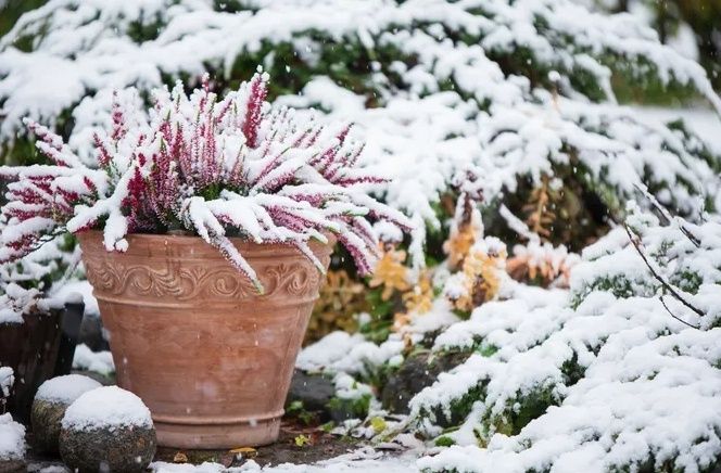 ������ ���� �� ����������: ��� ������ ���� �������� ������