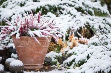 ������ ���� �� ����������: ��� ������ ���� �������� ������