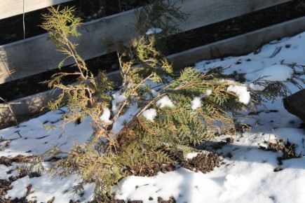 �������� ����� ������� ��������