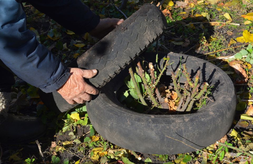 ��� ������ ���� �� ����: ������� ������ ��� �������� �������