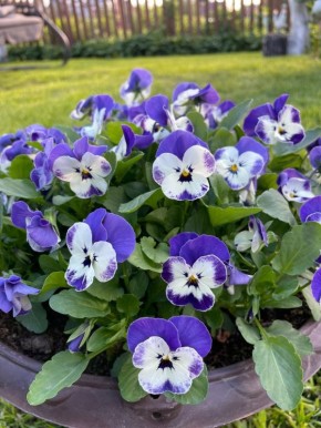 ����� � ����� ����: ��� ��������� ����� � ���������� ���� �������