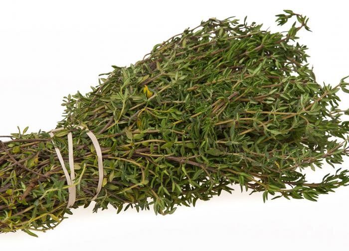 ������� �������� ����� ����: ��� ��������� �������� � ������ �� ����