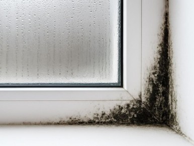 ������� � ������� ������: ��� ������������� � ��������� � ����� ����