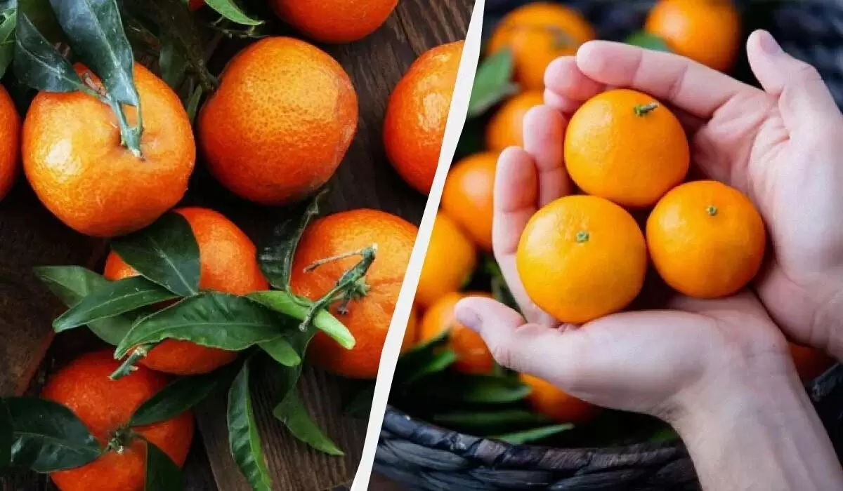 Как быстро сделать кислые мандарины сладкими: простые методы