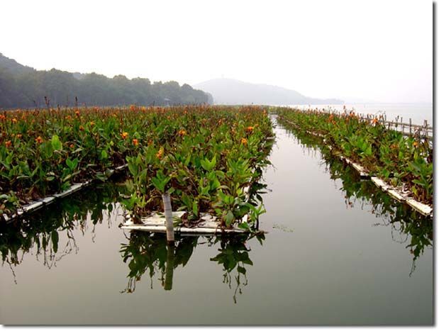 �������� �����: ������� ��������� ��������� �� ����