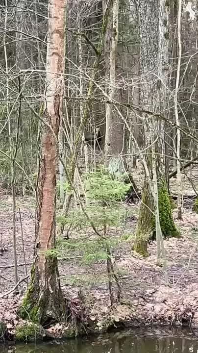 ���� � ���������!. ����������� ������� ��������� �� ���������! � �������� ������ ����� ��������� ������ ����� � ����! ��������� ������ � ����� ������! ������ �������� ����������� � ��������� �� ������� � � �����