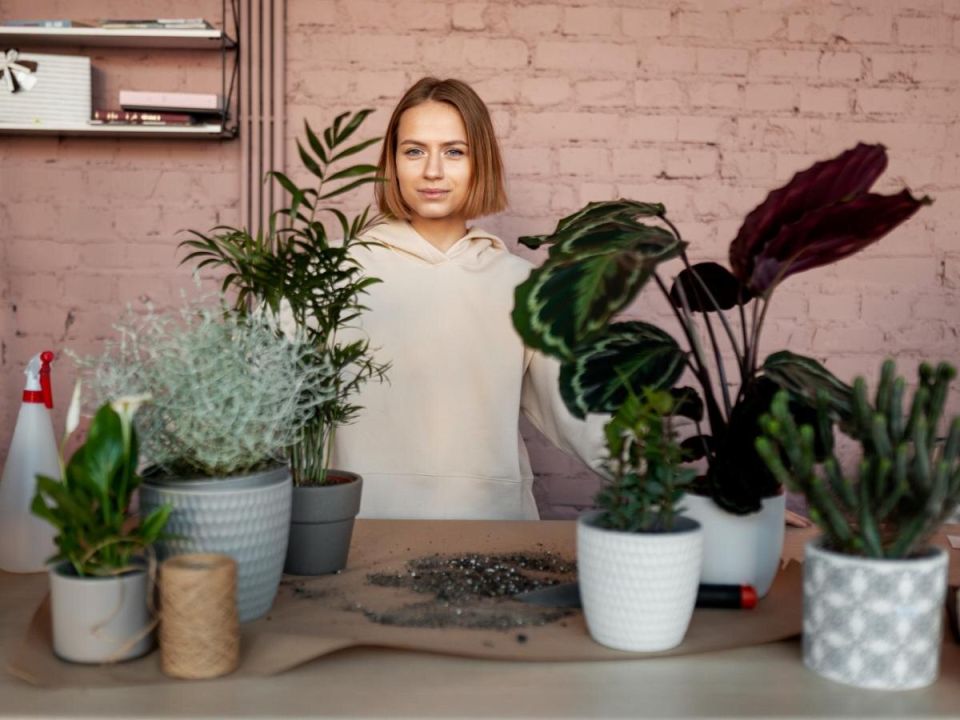 ��� ������ ��������� �������� ��������� ��������� ������ � �������� ���