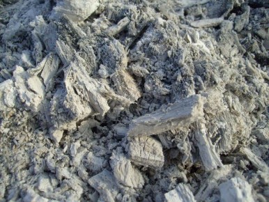 Как древесная зола меняет цвет гортензий: секреты ухода за садом