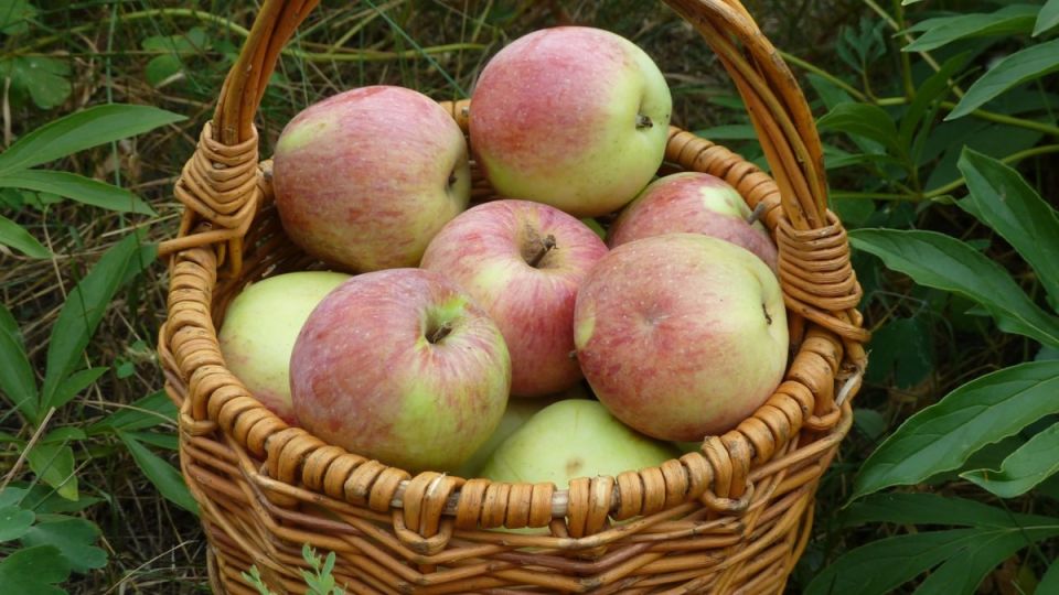 ���� ���������� �������� �������� ������� ��� ������� ����������