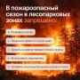 С завтрашнего дня во Владимирской области установлен пожароопасный сезон